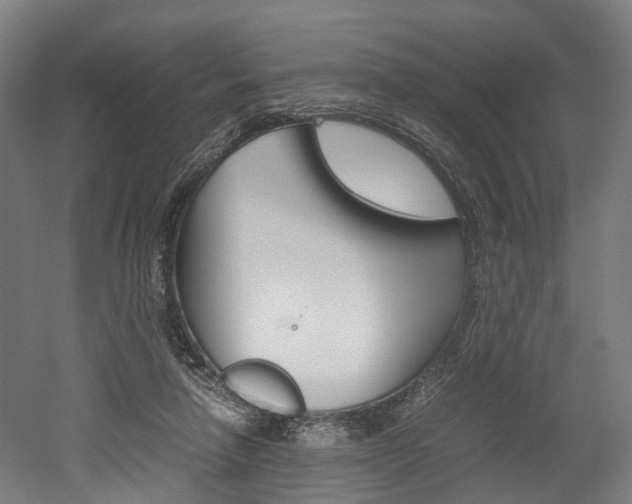 X0000052630258200507011041