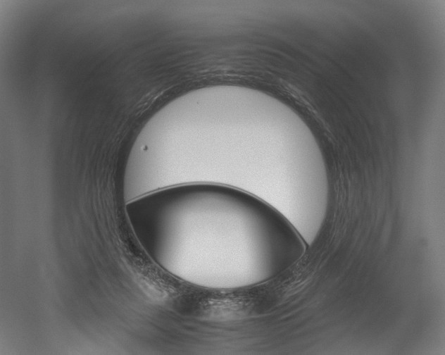 X0000052630259200507011041