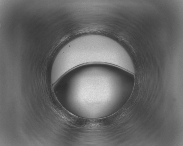 X0000052630260200507011041