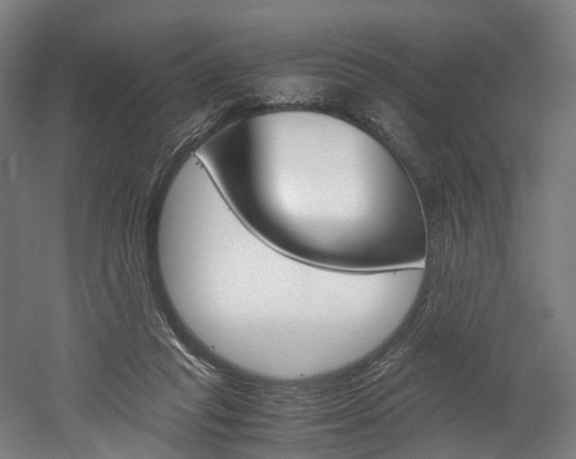 X0000052630261200507011041