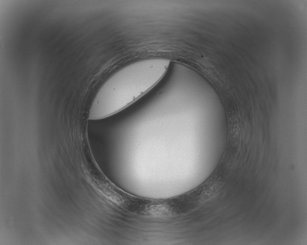 X0000052630262200507011041