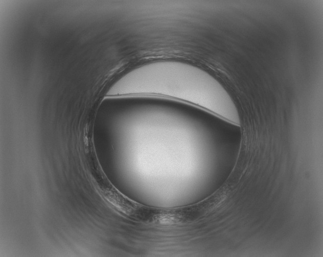 X0000052630264200507011041