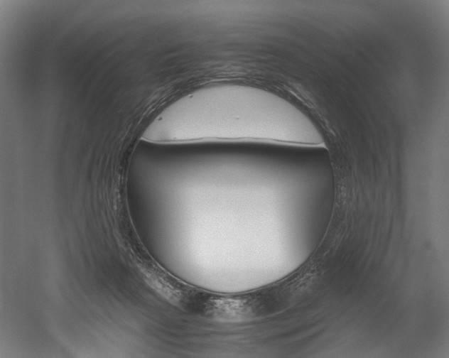 X0000052630265200507011041