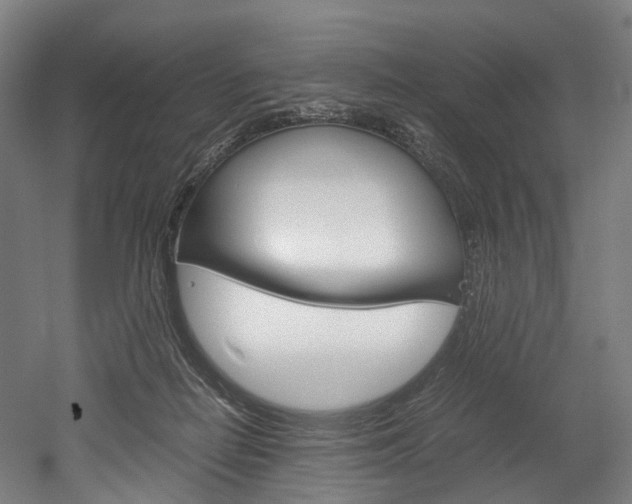 X0000052630266200507011041