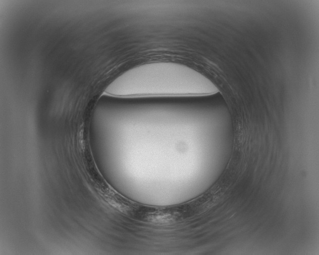 X0000052630267200507011041
