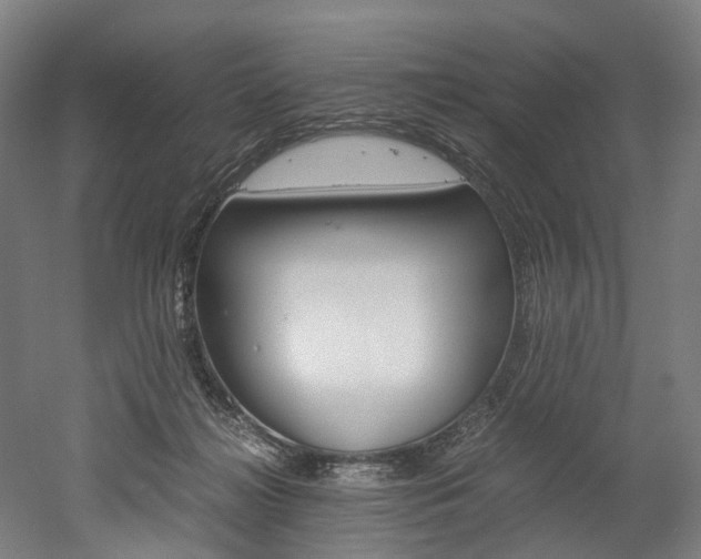X0000052630268200507011041