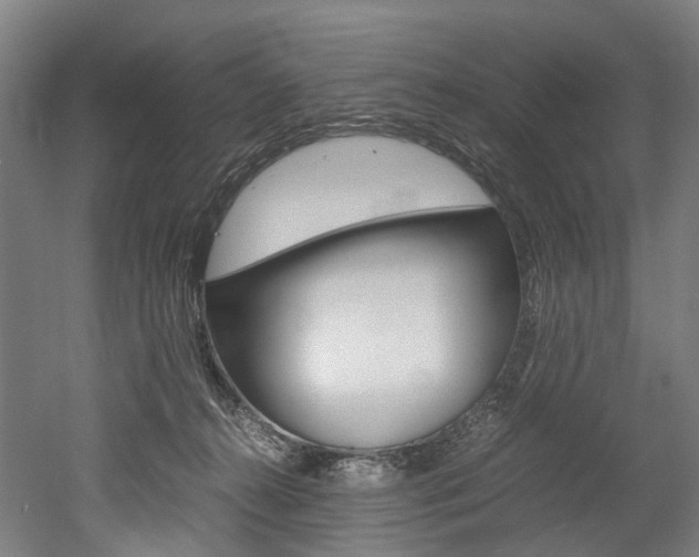 X0000052630272200507011041