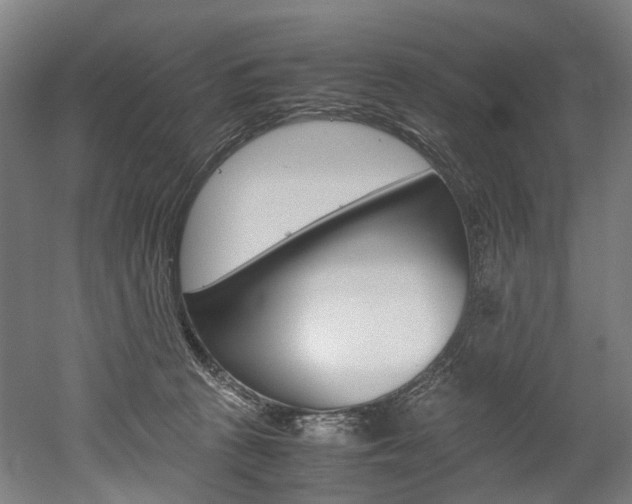 X0000052630273200507011041