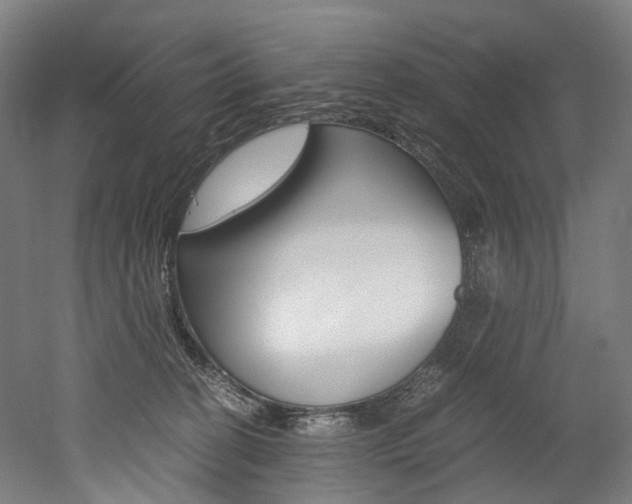 X0000052630274200507011041
