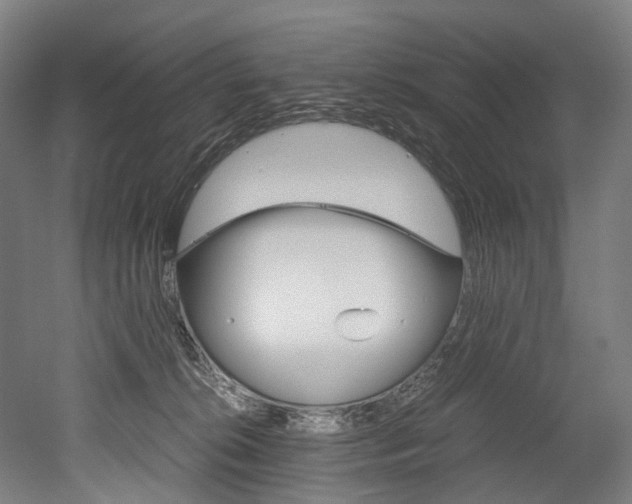 X0000052630276200507011041