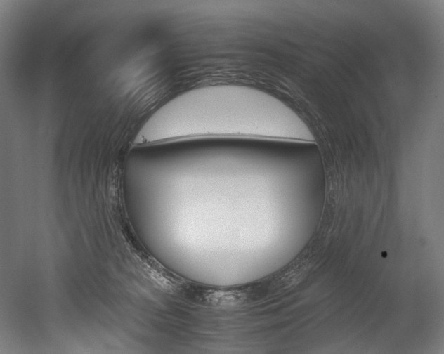 X0000052630277200507011041