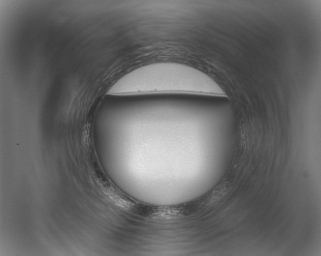 X0000052630278200507011041