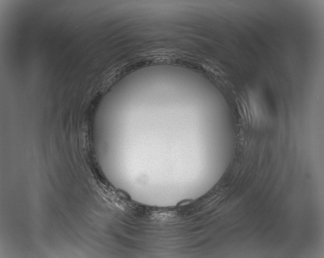 X0000052630283200507011041
