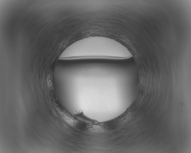 X0000052630285200507011041