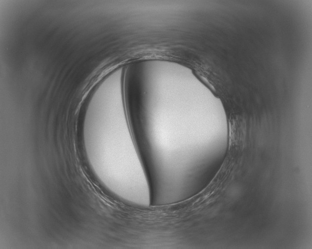 X0000052630291200507011041