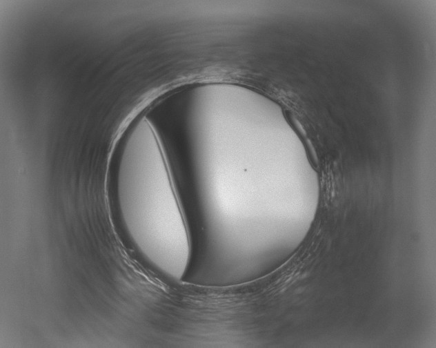 X0000052630292200507011041