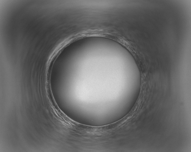X0000052630293200507011041