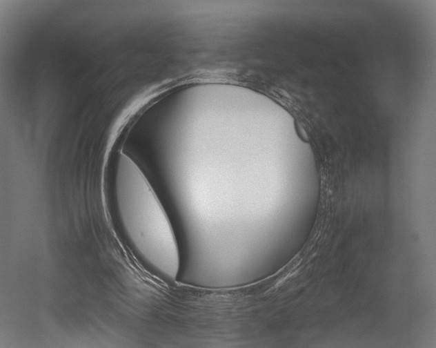 X0000052630294200507011041