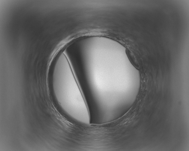 X0000052630296200507011041