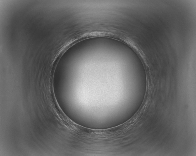 X0000052630297200507011041