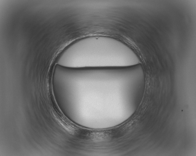 X0000052630298200507011041