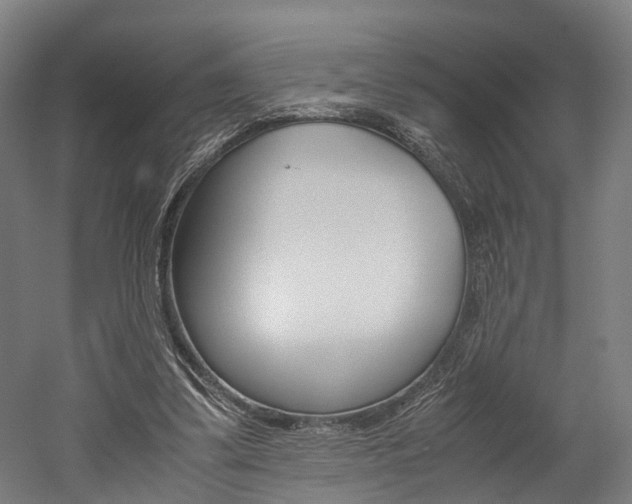 X0000052630299200507011041