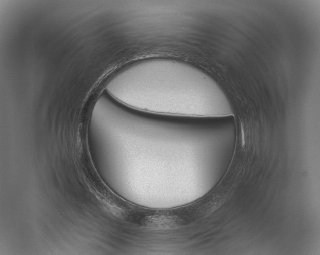 X0000052630300200507011041
