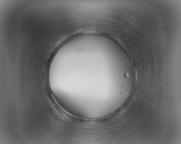 X0000052630301200507011041