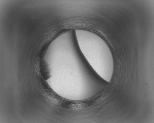 X0000052630307200507011040