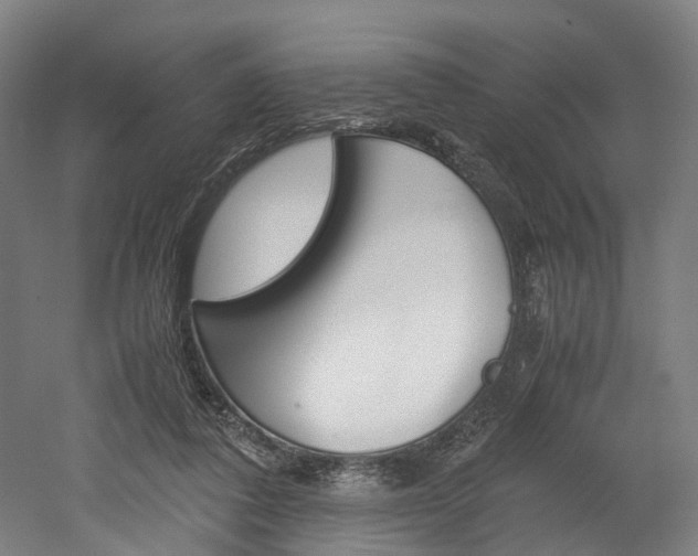 X0000052630308200507011040