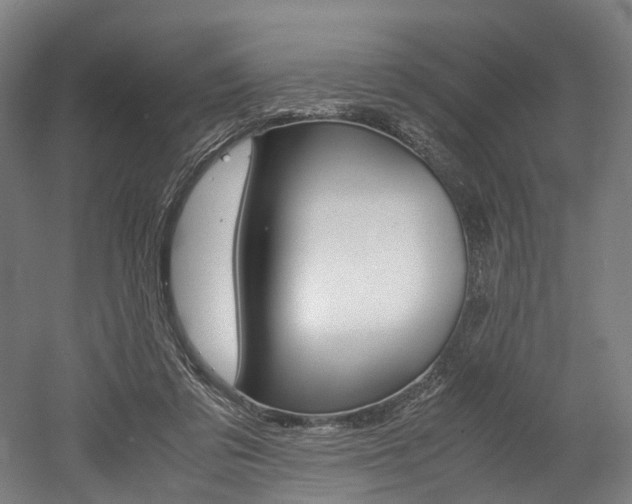 X0000052630309200507011040