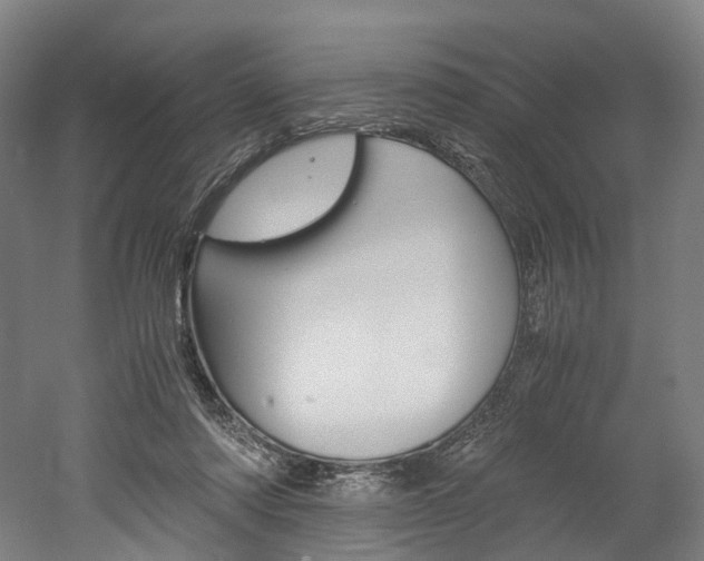 X0000052630310200507011040