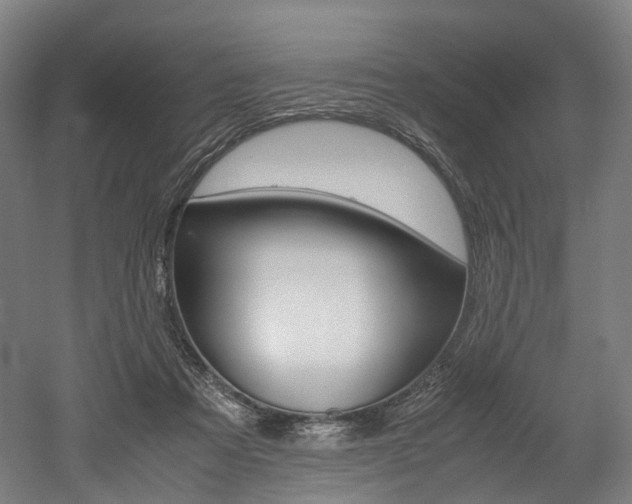 X0000052630313200507011040