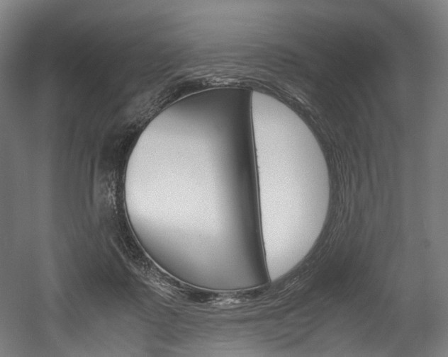 X0000052630315200507011040