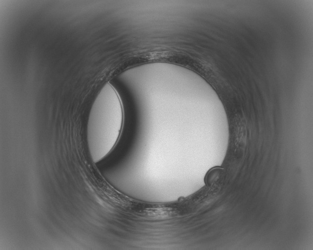 X0000052630316200507011040