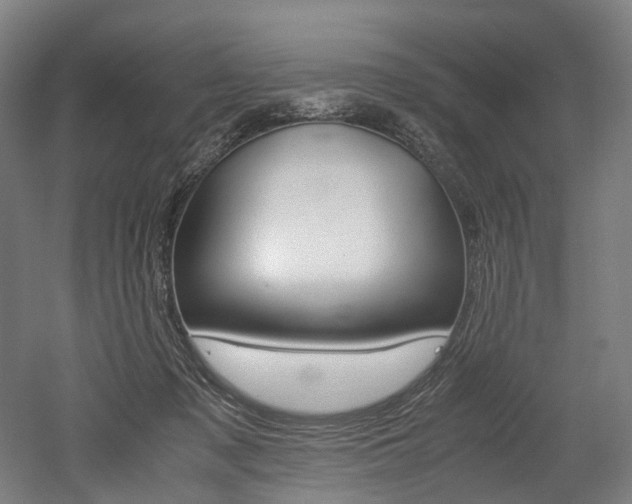 X0000052630317200507011040