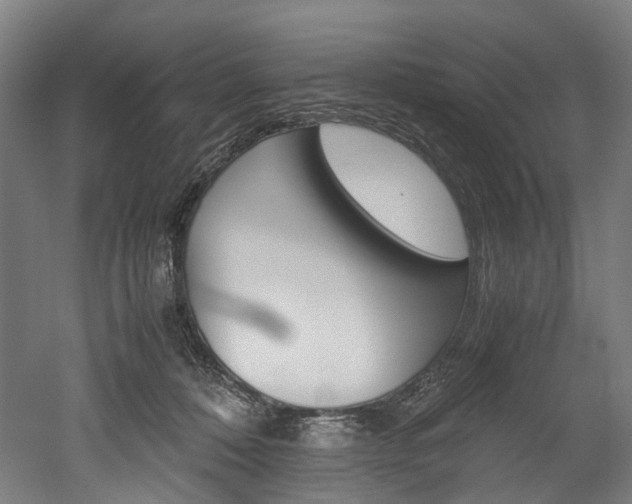 X0000052630320200507011040
