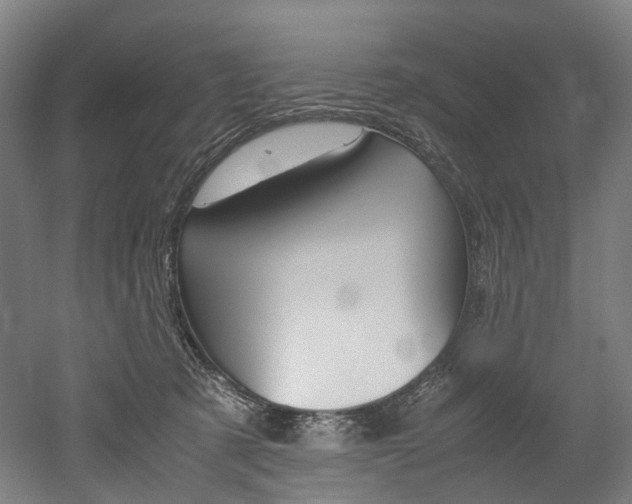 X0000052630321200507011040