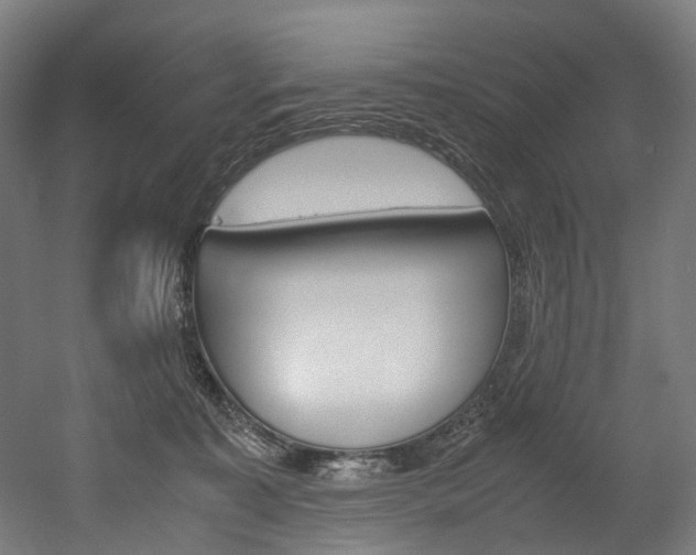 X0000052630323200507011040
