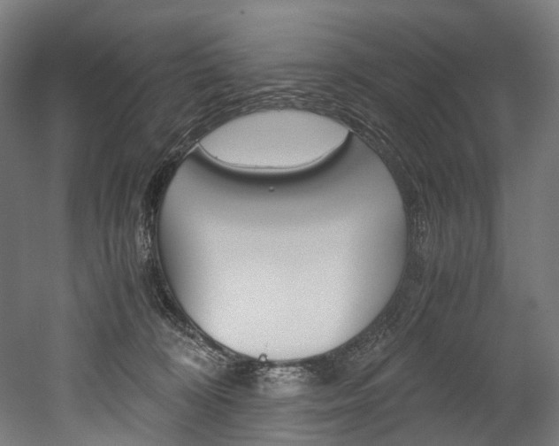 X0000052630324200507011040