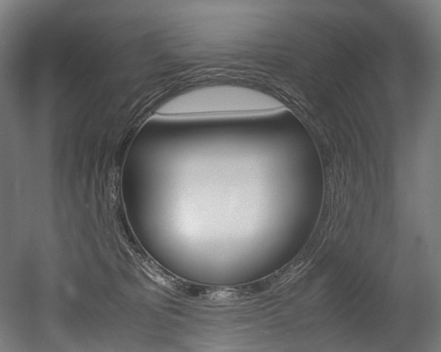 X0000052630325200507011040