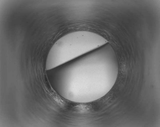 X0000052630326200507011040