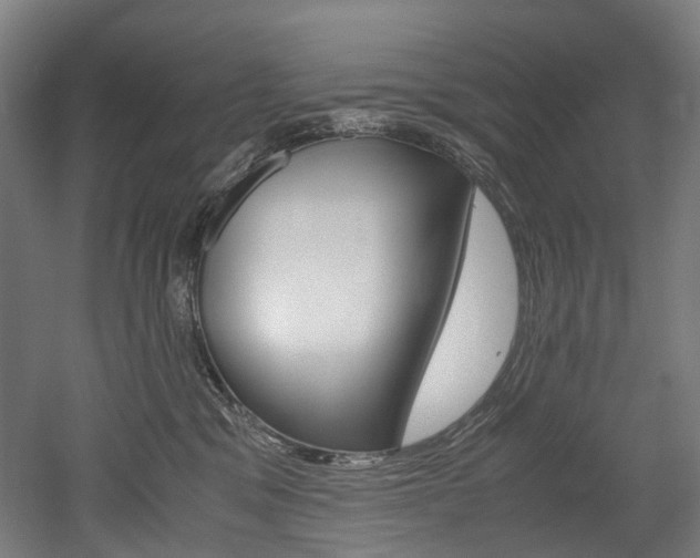 X0000052630329200507011040