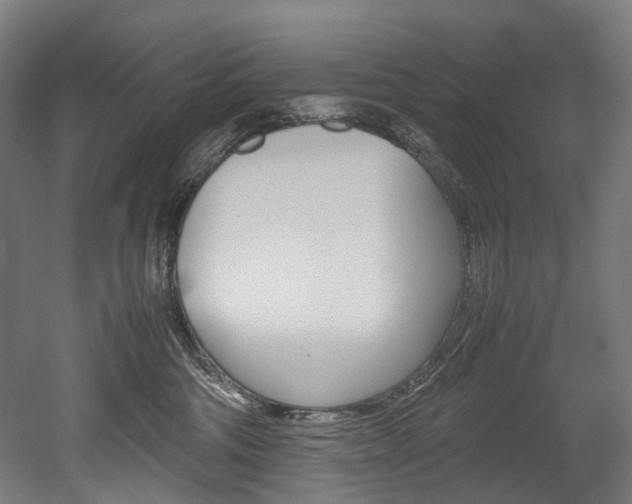 X0000052630330200507011040