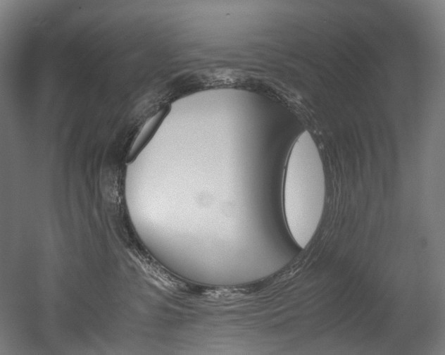 X0000052630331200507011040