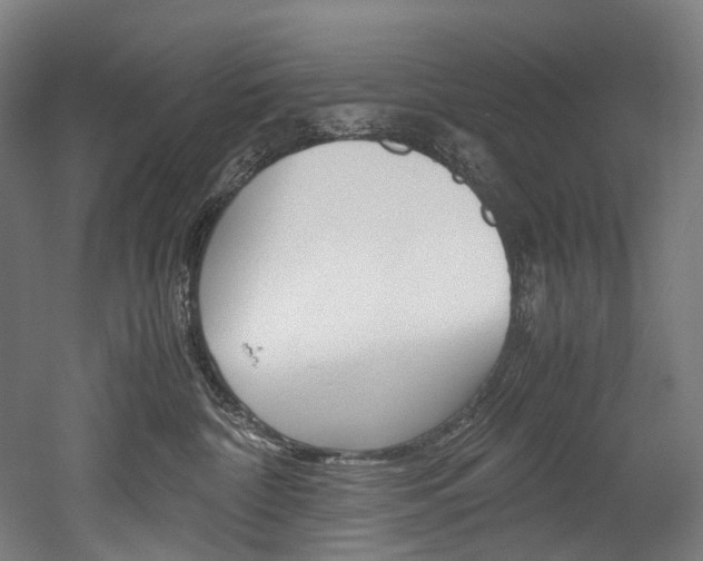 X0000052630332200507011040