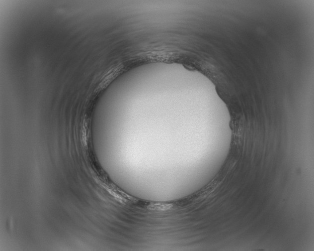 X0000052630334200507011040