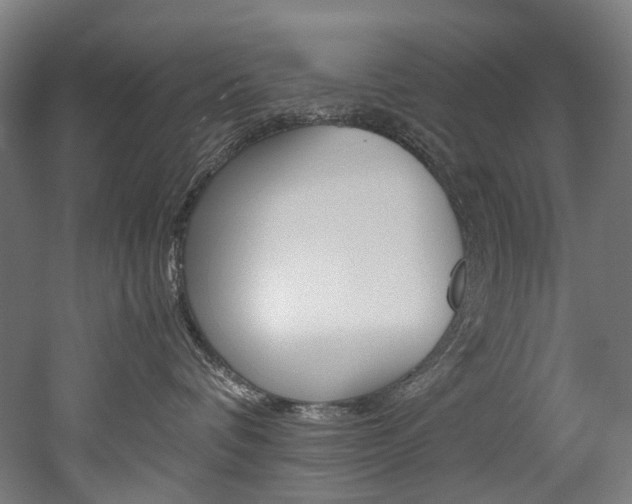 X0000052630336200507011040