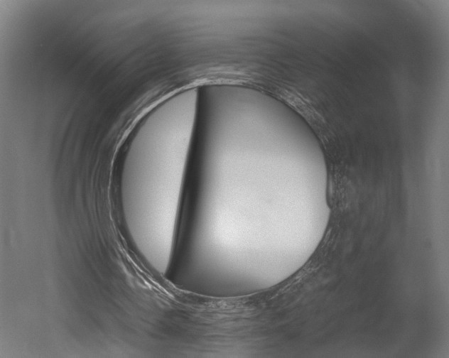 X0000052630338200507011039