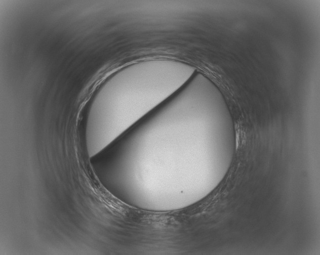 X0000052630339200507011039